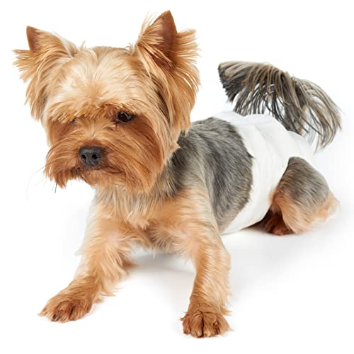 PrixPrime - Pañales para Perros Talla XS Hembra Pack 10