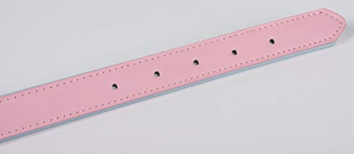 Puccybell Collar para perro de 2 colores con piel, clásico en colores de contraste para perros pequeños, medianos y grandes HB004 (L, rosa y azul claro)