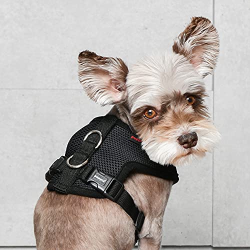 Puppia Arnés para Perros - Arnés Suave E - para Perros pequeños y medianos