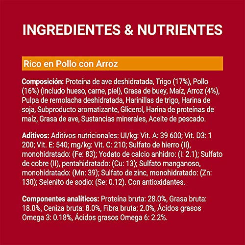 Purina ONE MINI Active Pienso para Perro Adulto Pollo y Arroz 8 x 800 g