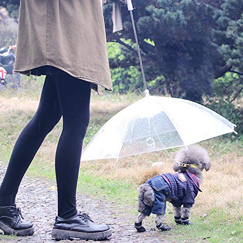 QERMULA portátil Transparente Caminar pequeño Perro Gato Mascota Paraguas con Cadena Mantener seco bajo la Lluvia Herramienta de Equipo para Exteriores Paraguas para Mascotas Transparente + Plata