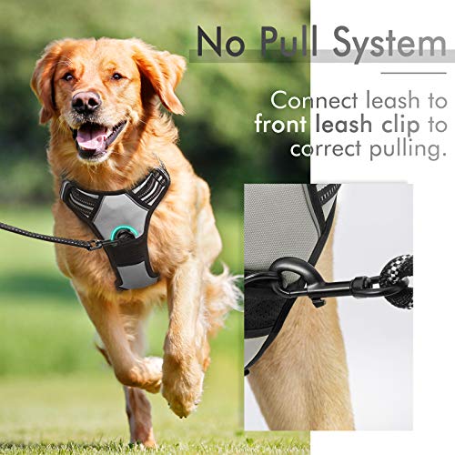 rabbitgoo Arnes Perro Grande Mediano Pequeño Arnés Pecho Antitirones Perros Coche con Lineas Reflecantes Cómodo Transpirable Chaleco Acolchado Ajustable para Adiesreamiento Correr Tamaño L Gris