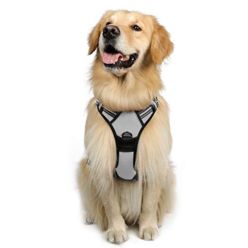 rabbitgoo Arnes Perro Grande Mediano Pequeño Arnés Pecho Antitirones Perros Coche con Lineas Reflecantes Cómodo Transpirable Chaleco Acolchado Ajustable para Adiesreamiento Correr Tamaño L Gris