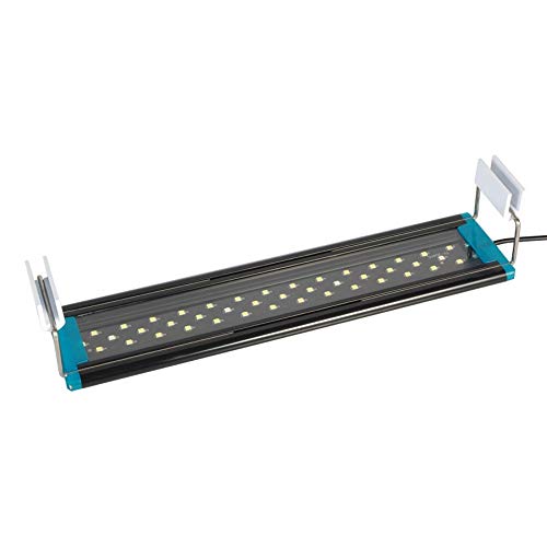 RADYS Acuario PECERA URNA 60L SIN Marco con Pantalla LED