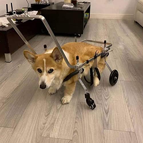 Silla de ruedas para perros, silla de ruedas ajustable para perros de cuatro ruedas, carrito, soporte para todo el cuerpo, rehabilitación de la pata delantera, banda para el vientre gratis para proteg