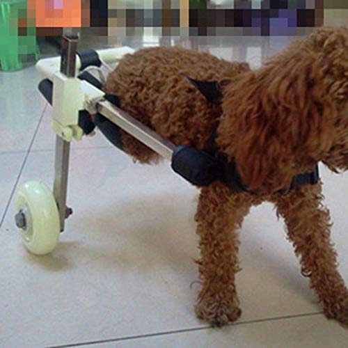 Silla de ruedas para perros, silla de ruedas para perros - silla de ruedas para perros para patas traseras - rehabilitación de patas traseras, banda para el vientre gratis para proteger la columna ver