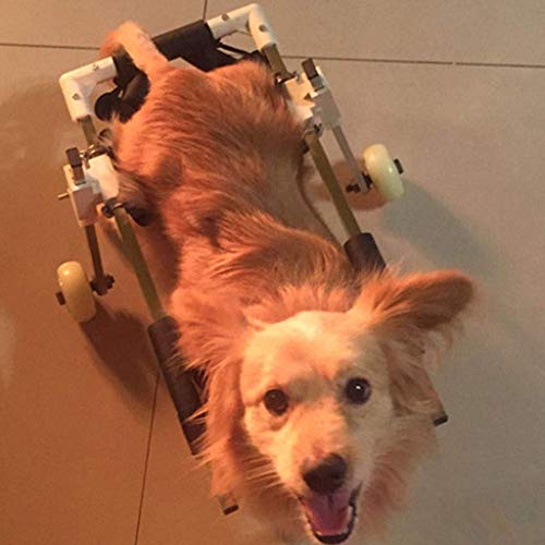 Silla de ruedas para perros, silla de ruedas para perros - silla de ruedas para perros para patas traseras - rehabilitación de patas traseras, banda para el vientre gratis para proteger la columna ver