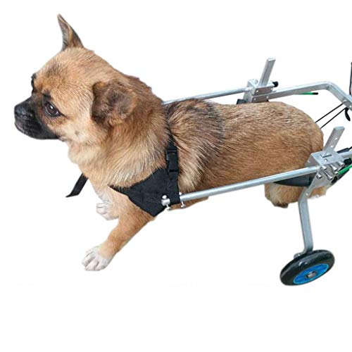 Silla de ruedas para perros, silla de ruedas para perros - silla de ruedas para perros para patas traseras - rehabilitación de patas traseras, banda para el vientre gratis para proteger la columna ver