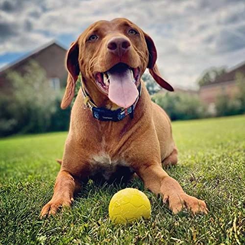SPORTSPET Football Bounce 2 unidades – Premium High Bounce - Pelota de goma no tóxica para perro – Medio 6,5 cm …