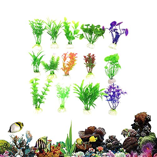 Sunfauo Plantas Naturales para Acuarios Plantas Acuario Acuario Plantas Artificiales Las Plantas para Acuario Planta de Agua de 15pcs
