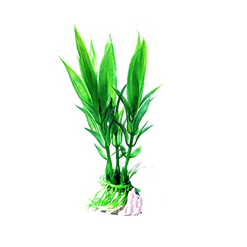 Sunfauo Plantas Naturales para Acuarios Plantas Acuario Acuario Plantas Artificiales Las Plantas para Acuario Planta de Agua de 15pcs