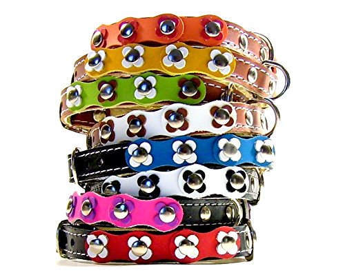 Superpipapo Original Collar de Piel para Perros Pequeños, Cachorros y Chihuahuas, Correa Opcional Diseño Vintage con Flores de Colores, Cuero Rosa Azul Blanco, 25 cm XXXS: Cuello 15-20 cm, Ancho 13mm