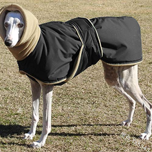 SYQY collarPet otoño e invierno ropa cálida whippet doberman doble capa de ropa-cuello de tortuga mate TX5343/Rojo_S/longitud 50