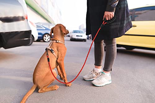 Taglory Correa de Perro, 1,2 m Correa de Fuerte de Perro para Perros Medianos y Grandes con Mango Acolchado Suave y Hilos Reflectantes, Rojo