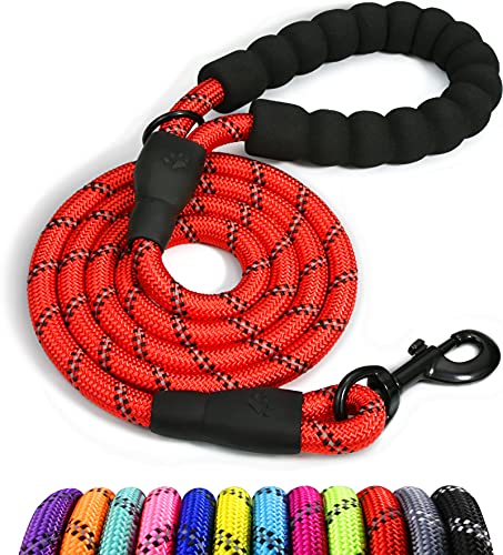 Taglory Correa de Perro, 1,2 m Correa de Fuerte de Perro para Perros Medianos y Grandes con Mango Acolchado Suave y Hilos Reflectantes, Rojo