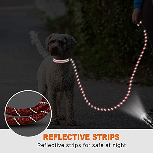 Taglory Correa de Perro, 1,2 m Correa de Fuerte de Perro para Perros Medianos y Grandes con Mango Acolchado Suave y Hilos Reflectantes, Rojo
