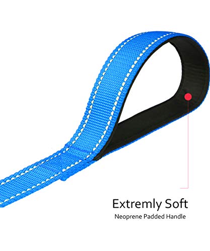 Taglory Correa Perro Reflectante, Mango Acolchado Suave y Gancho de Metal, Correas Adiestramiento para Perros Mediano Grandes, 1.8m x 2.5cm, Cielo Azul