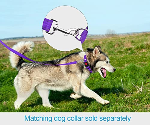 Taglory Correa Perro Reflectante, Mango Acolchado Suave y Gancho de Metal, Correas Adiestramiento para Perros Pequeño, 1.2m x 2.0cm, Morado