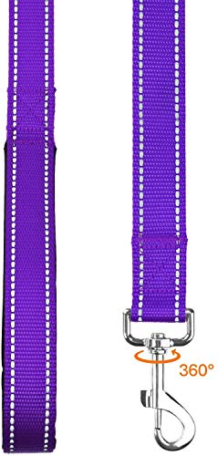 Taglory Correa Perro Reflectante, Mango Acolchado Suave y Gancho de Metal, Correas Adiestramiento para Perros Pequeño, 1.2m x 2.0cm, Morado