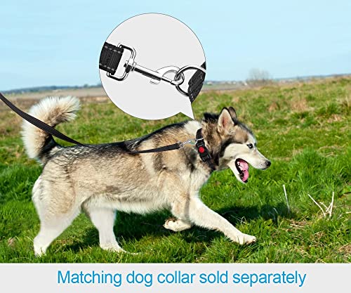 Taglory Correa Perro Reflectante, Mango Acolchado Suave y Gancho de Metal, Correas Adiestramiento para Perros Pequeño, 1.8m x 2.0cm, Negro
