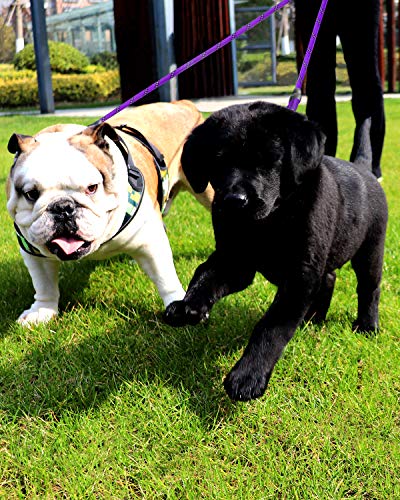 Taglory Correas Dobles/Correa de Perro para Dos Perros/Acoplador Divisor Fuerte para Perros pequeño medianos Grandes/Giratorio 360 ° sin enredos/Cuerda de escalada/75cm (75cm, Violeta)