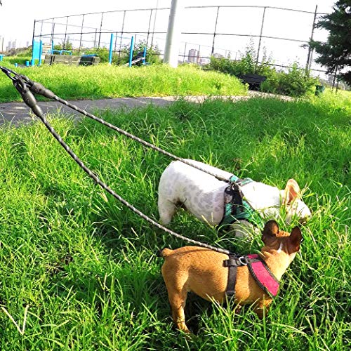 Taglory Correas Dobles/Correa de Perro para Dos Perros/Acoplador Divisor Fuerte para Perros pequeño medianos Grandes/Giratorio 360 ° sin enredos/Cuerda de escalada/75cm Rojo