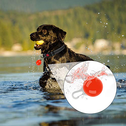 Taglory Luz LED Collares para Perro Clip-on, Luces de Seguridad Coloridas para Perros y Gatos, Collar Luminoso Perro Luz Impermeable, Colgante Perro Luz LED Noche(4 Baterías Adicionales), Rojo
