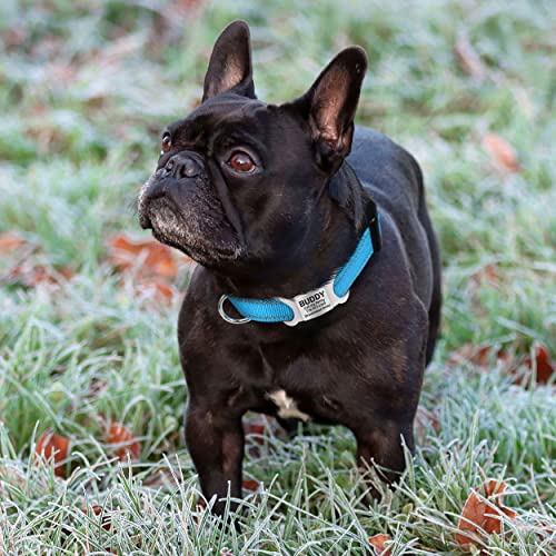 TagME Collar Perro Ajustable,Collar Nylon Reflectante,para Caminar Correr Entrenamiento,para Cachorro,Cielo Azul,1.0cm De Ancho