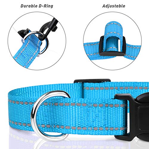 TagME Collar Perro Ajustable,Collar Nylon Reflectante,para Caminar Correr Entrenamiento,para Cachorro,Cielo Azul,1.0cm De Ancho