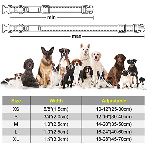TagME Personalizado Nylon Collares para Perros, Ajustable Reflectante Collar Perro con Acolchados, Etiqueta de Acero Inoxidable Nombre Grabado y Número de Teléfono, Caqui