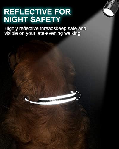 TagME Personalizado Nylon Collares para Perros, Ajustable Reflectante Collar Perro con Acolchados, Etiqueta de Acero Inoxidable Nombre Grabado y Número de Teléfono, Caqui