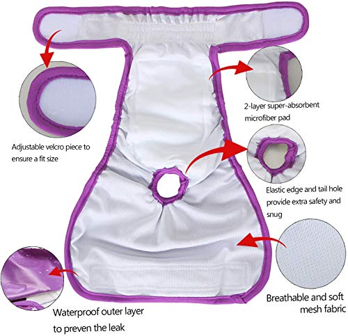 Teamoy 4 Piezas Pañal para Perros, Pañales de Magasin Pet Lavable,pañales para Perros Hembra, Superabsorbente y Cómodo,(Negro + Verde + Rosa + Morado, XL)