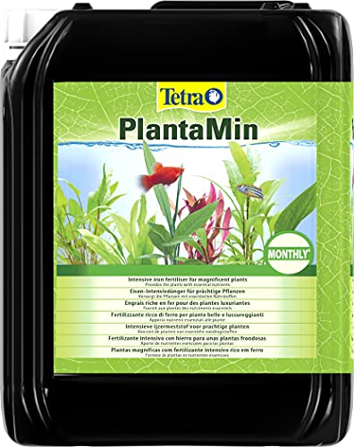 Tetra PlantaMin 5 L - Fertilizante rico en hierro para unas plantas exuberantes y de un verde intenso