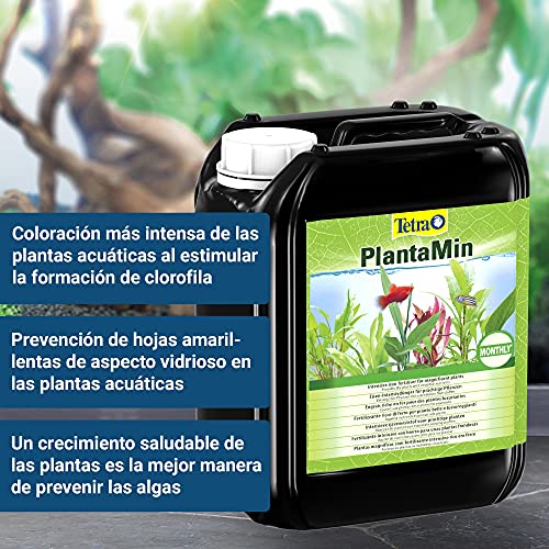 Tetra PlantaMin 5 L - Fertilizante rico en hierro para unas plantas exuberantes y de un verde intenso