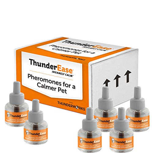 ThunderEase Multicat - Recambio para difusor de feromonas calmantes | Alimentado por FELIWAY | Reduce los conflictos de Gatos, la tensión y la Lucha
