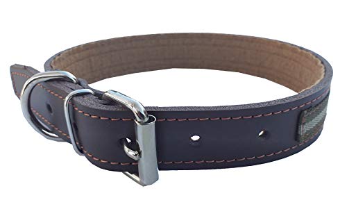 Tiendas LGP - Collar para Perros de Piel Flor con Bandera de Andalucía, Color árido , 2,5 x 51 cm, Color Marrón