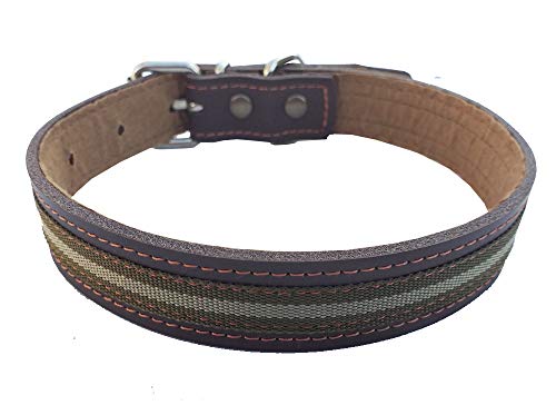 Tiendas LGP - Collar para Perros de Piel Flor con Bandera de Andalucía, Color árido , 2,5 x 51 cm, Color Marrón