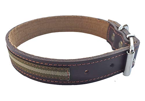 Tiendas LGP - Collar para Perros de Piel Flor con Bandera de Andalucía, Color árido , 2,5 x 51 cm, Color Marrón