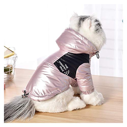 TTCI-RR Ropa Mascotas Pequeña chaqueta descendente impermeable mediano tamaño pequeño perro invierno cálido perro ropa con capucha abrigo ropa for mascotas (Color : GRAY, Size : XL)