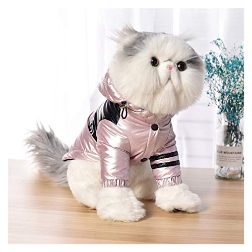 TTCI-RR Ropa Mascotas Pequeña chaqueta descendente impermeable mediano tamaño pequeño perro invierno cálido perro ropa con capucha abrigo ropa for mascotas (Color : GRAY, Size : XL)
