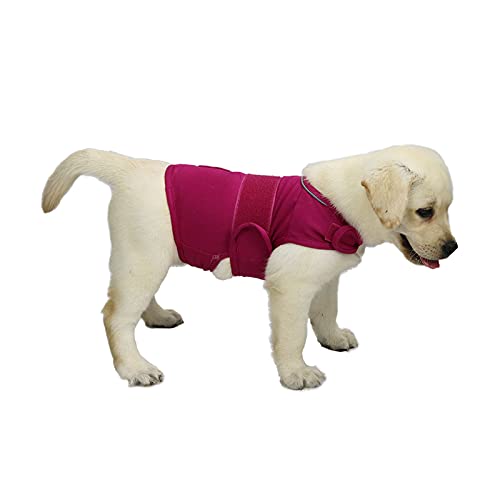 TT.WALK Chaleco calmante para Perros,Abrigo para aliviar la ansiedad,Chaqueta para Perros Anti-ansiedad,Chaleco calmante para Perros pequeños(Rosa,S)
