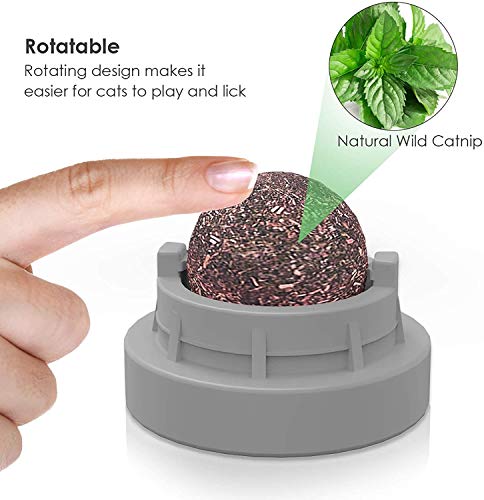 U/D Juguete de pelota de hierba gatera para lamer gatos, aperitivos naturales comestibles para gatos, juguete de pared para gatos