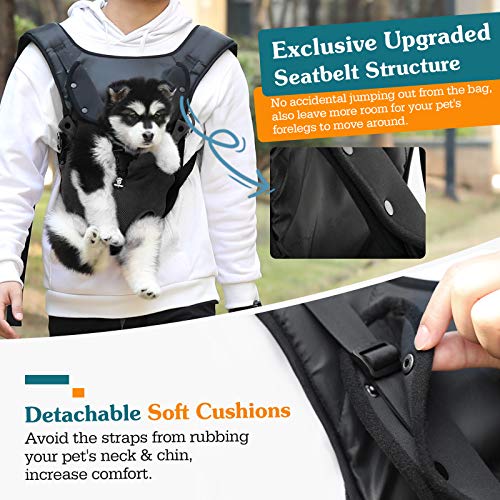 VavoPaw Mochila para Transportar Perros Gatos, Bolsa Ajustable Portátil con Hebilla Segura Malla Transpirable para Paseo Viaje Senderismo para Mascotas Pequeños Medianos, Talla M, Negro