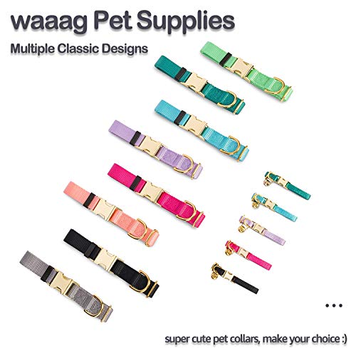 waaag Collar para mascota, 30 colores clásicos de color sólido collar para perro, collar de gato, correa de nailon, hebilla dorada collar para perro (lavanda, L)