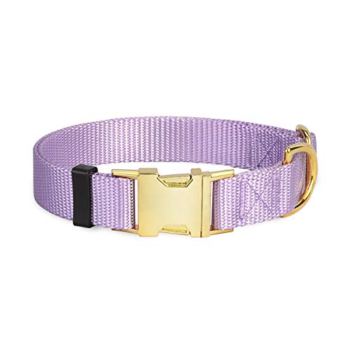 waaag Collar para mascota, 30 colores clásicos de color sólido collar para perro, collar de gato, correa de nailon, hebilla dorada collar para perro (lavanda, L)