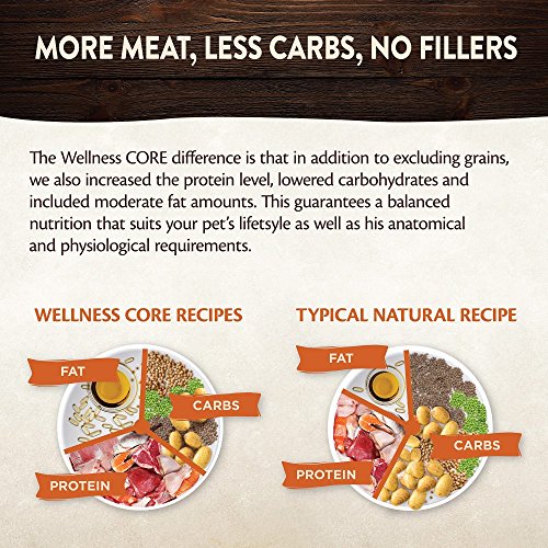 Wellness CORE - Juego de 12 medallas para Perros de Raza pequeña, sin Grano y húmedo, para Comida de gallina turca y judías Verdes, 85 g, 12 Unidades
