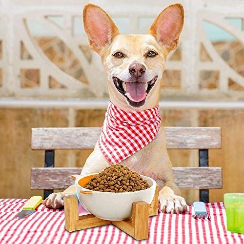 WELLXUNK® Cerámica Bowl Gatos, Cuencos elevados Mascotas, Bowl para Gatos y Perros para Perros Gatos Cachorros con Soportes de Bambú Antideslizante Cuenco de Agua para Personalizado y Práctico (A)