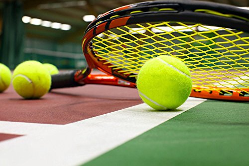 Westeng Pelotas Tenis Niño Profesional Mascota Perros Alta Elasticidad Dog Ball Tennis,3 Pcs