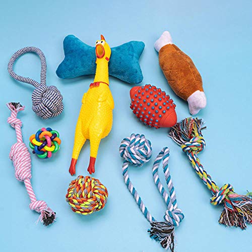 WonderfulDay 10 unids/Set Juguetes para Perros Juguete Animal Divertido graznido Rugido Rugido Pollo Perro Gato Juguetes Atractivo Perro Gato Cachorro Molar Masticar Juguetes, D