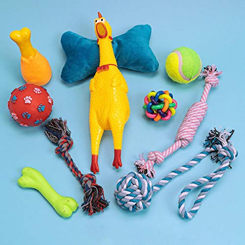 WonderfulDay 10 unids/Set Juguetes para Perros Juguete Animal Divertido graznido Rugido Rugido Pollo Perro Gato Juguetes Atractivo Perro Gato Cachorro Molar Masticar Juguetes, D